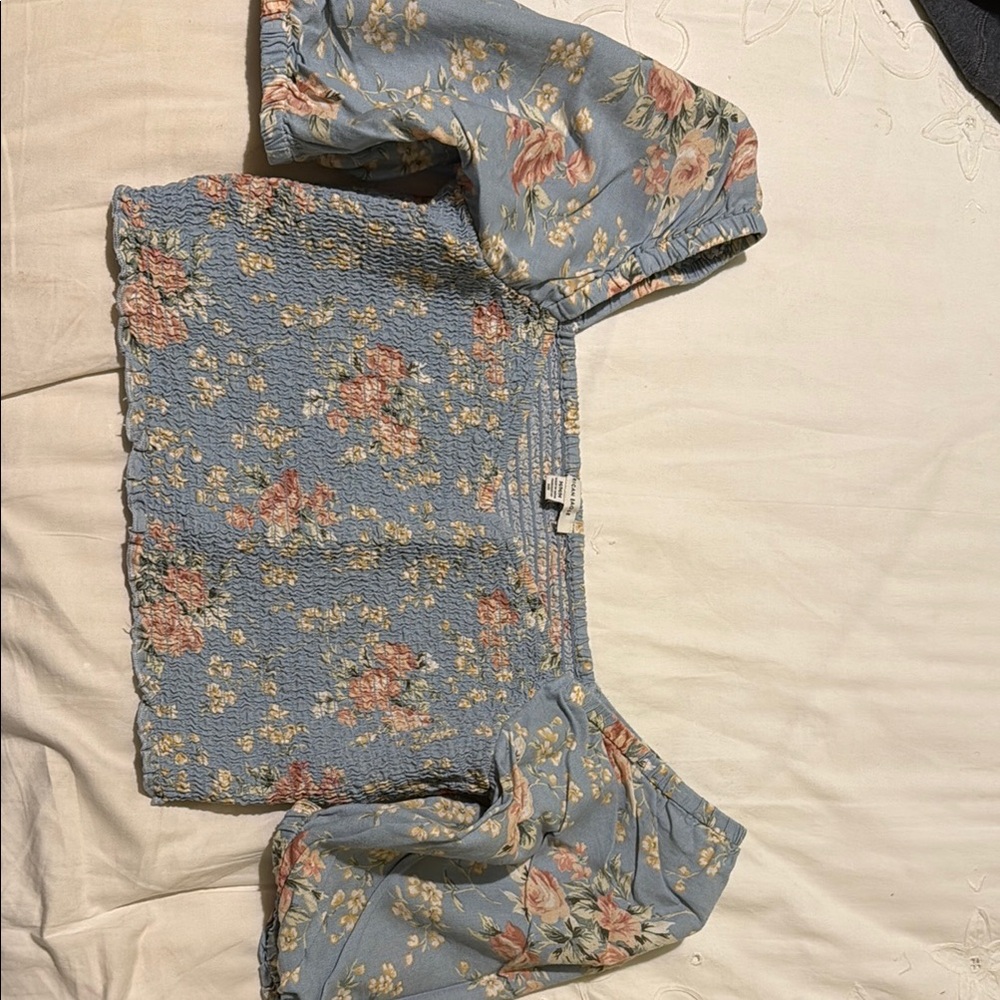 American Eagle Outfitters Blue Floral Crop Top